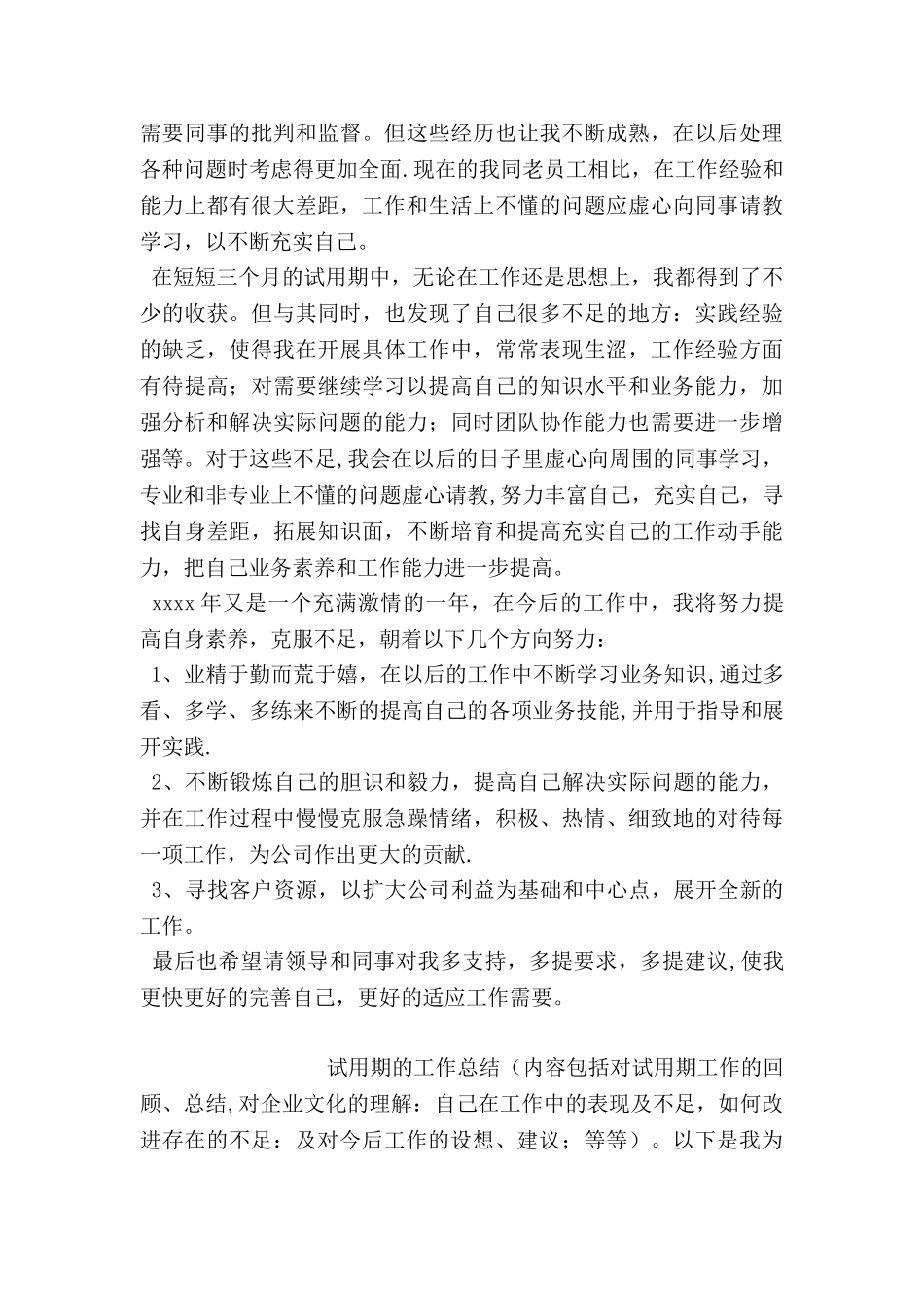 业务员试用期工作总结范文_第2页