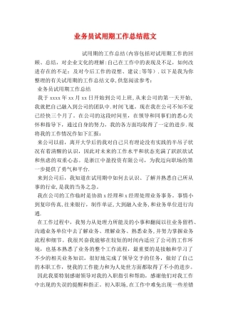 业务员试用期工作总结范文