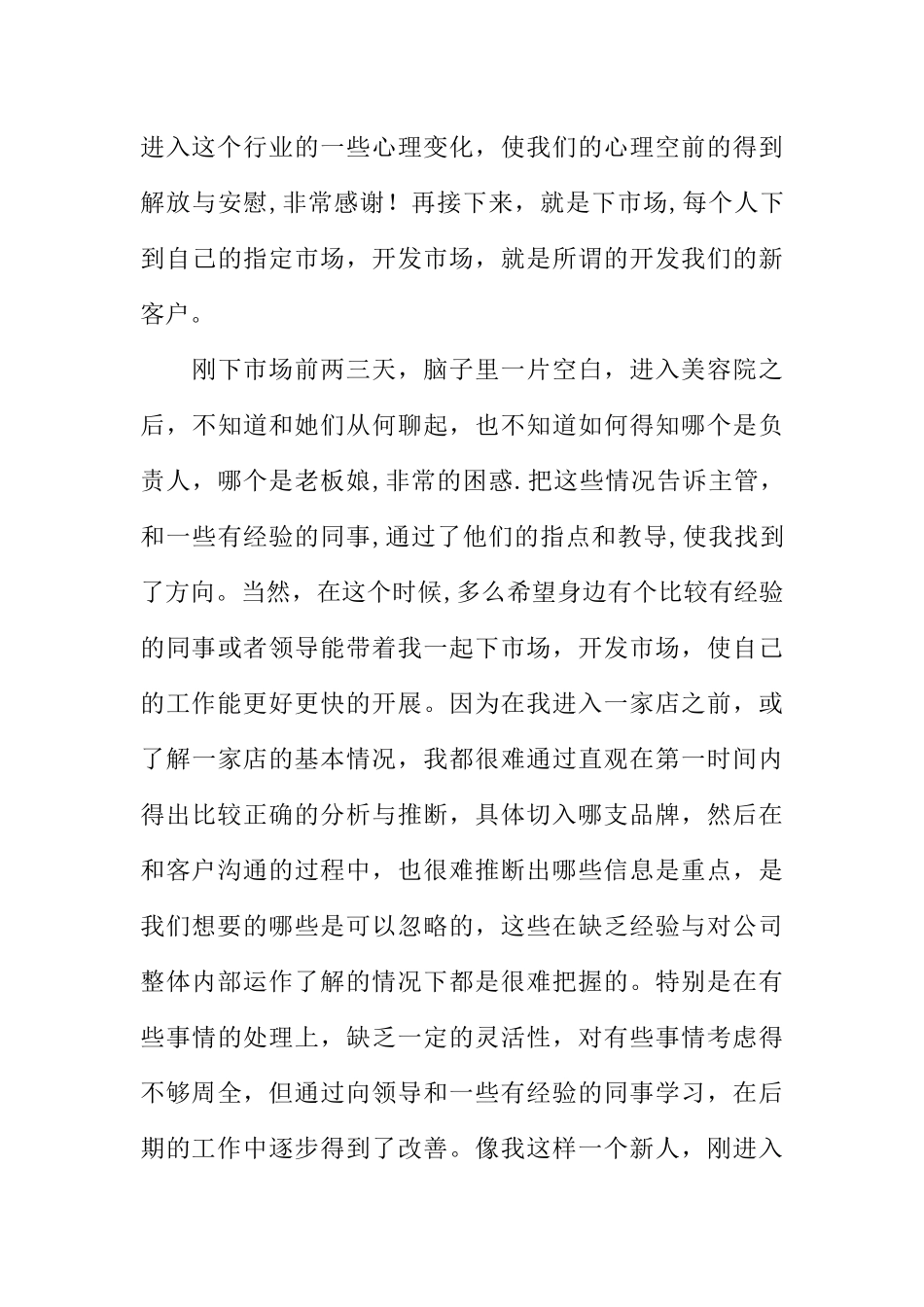 业务员销售总结_第3页