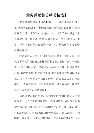 业务员销售总结
