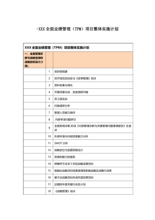 业绩管理咨询项目实施计划