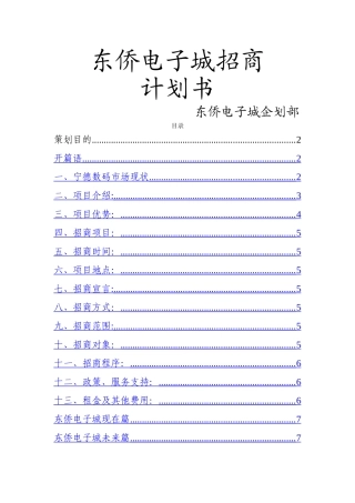 东侨电子城招商策划书