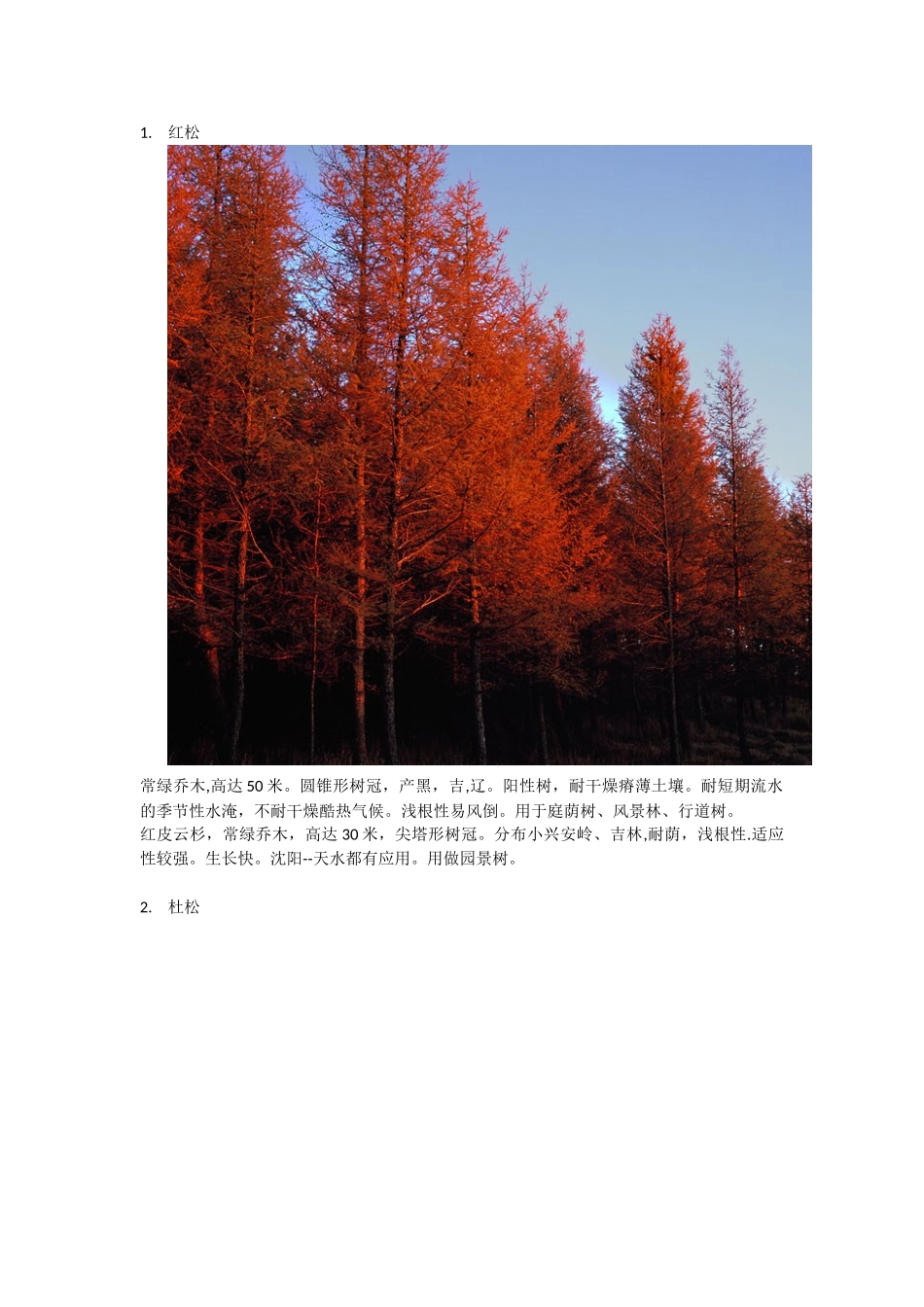 东北常用30种景观植物_第1页