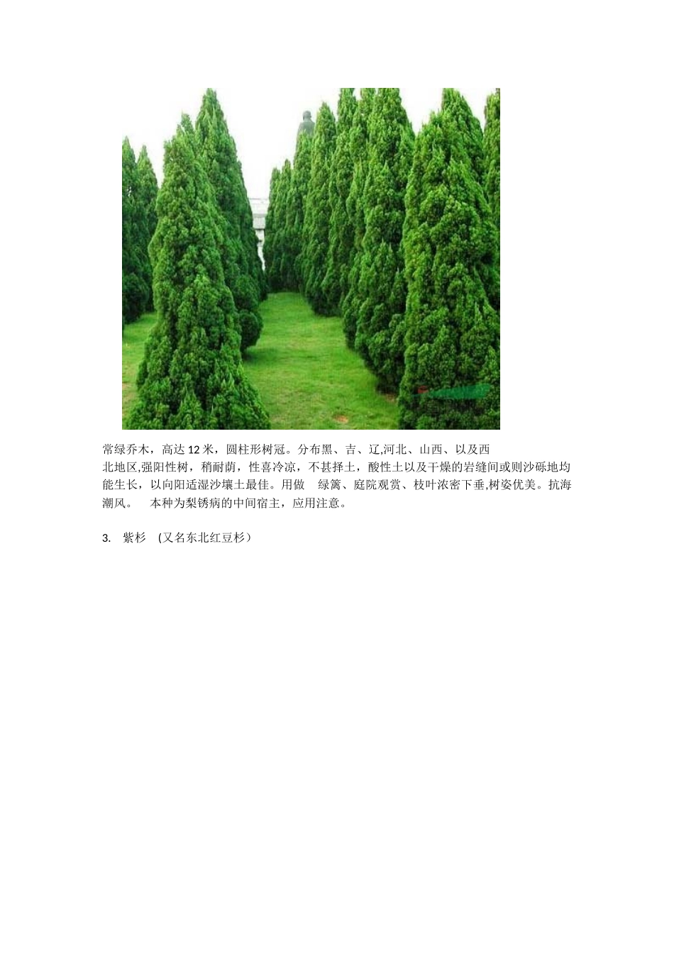 东北常用30种景观植物_第2页