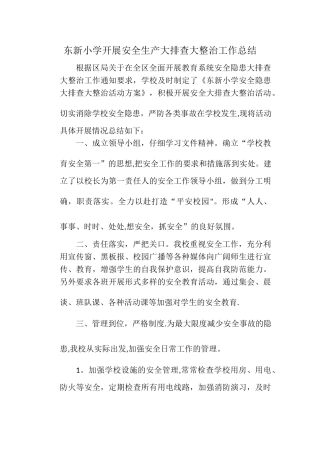 东新小学开展安全生产大排查大整治工作总结