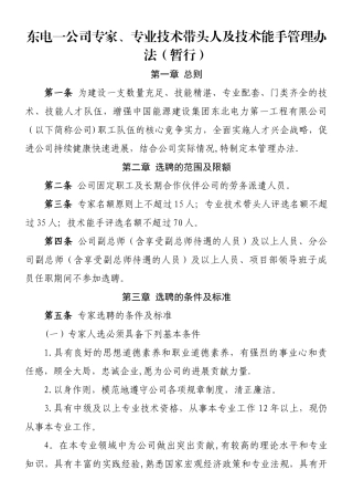东电一公司专家、专业技术带头人及技术能手管理办法