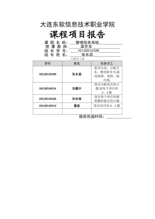 东软10企管管理信息系统三级项目报告