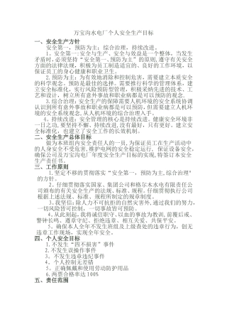 个人安全生产目标