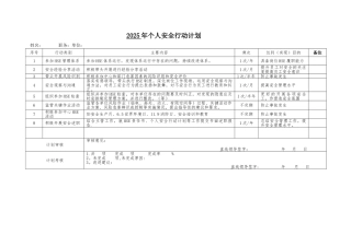 个人安全行动计划