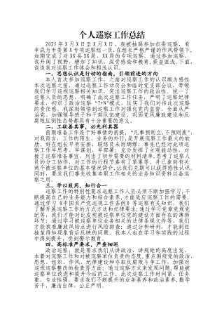 个人巡察工作总结