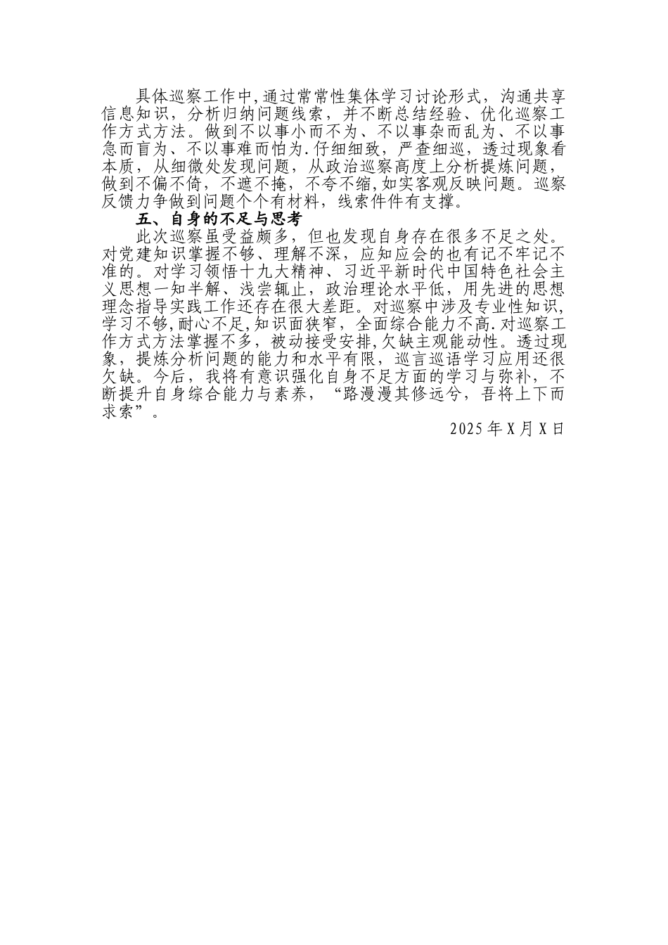 个人巡察工作总结-个人巡察小结_第2页