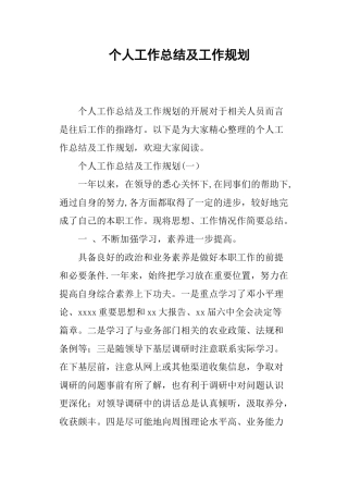 个人工作总结及工作规划