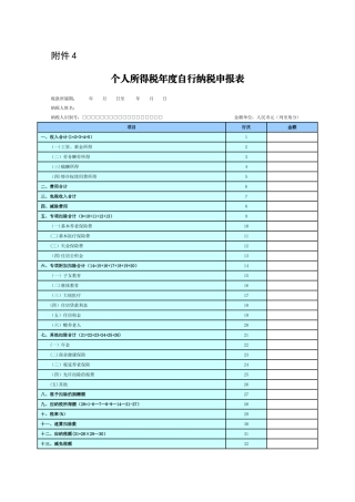 个人所得税年度自行纳税申报表
