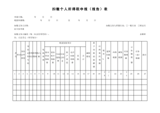 个人所得税申报表