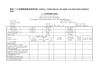 个人所得税纳税申报表式样