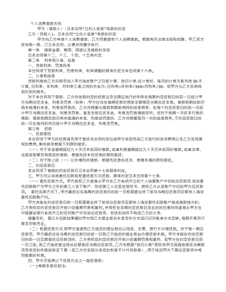 个人消费借款合同-