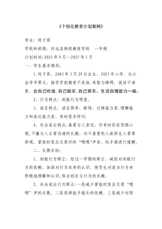 个别化教育计划案例45391