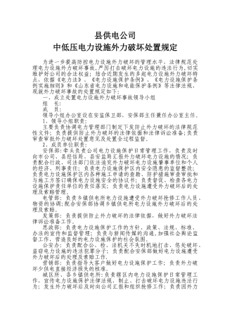 中低压电力设施外力破坏处置规定