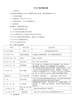 中力广场二期开盘方案