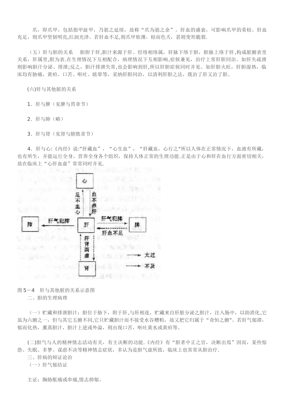 中医中肝与胆的关系_第2页