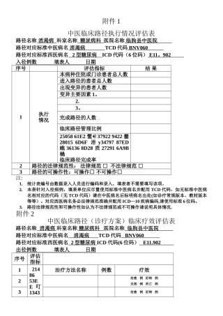 中医临床路径评估表