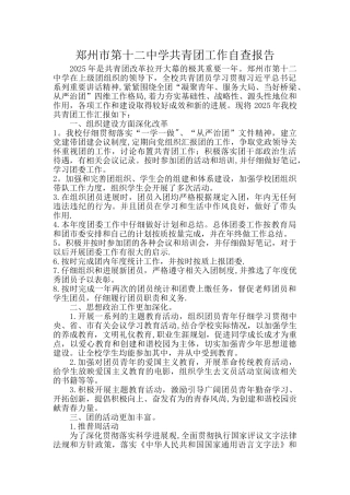 中学共青团工作自查报告