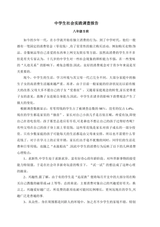 中学生社会实践调查报告
