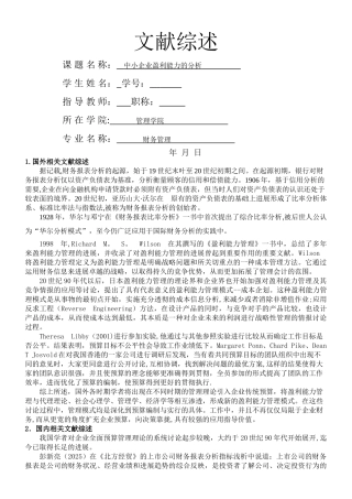 中小企业盈利能力的分析文献综述