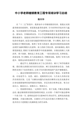 中小学教师继续教育工程专项培训总结