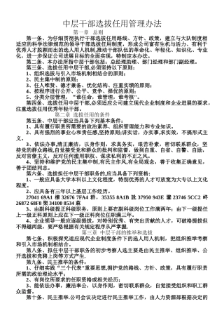 中层干部选拔任用管理办法