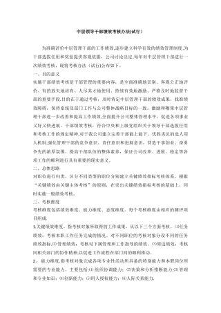 中层领导干部绩效考核办法