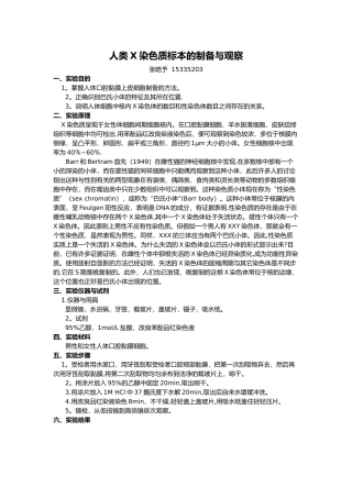 中山大学人类X染色质标本的制备与观察报告