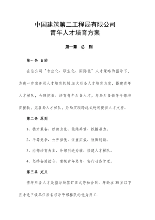中建二局青年人才培养方案