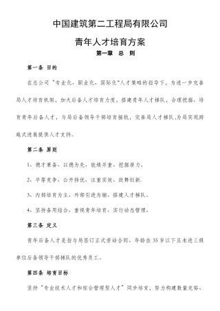 中建二局青年人才培养方案