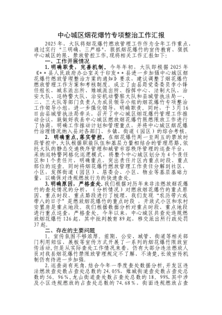 中心城区烟花爆竹专项整治工作汇报