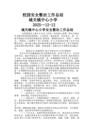 中心小学校园安全专项整治工作活动总结