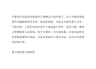 中暑中医辨证论治