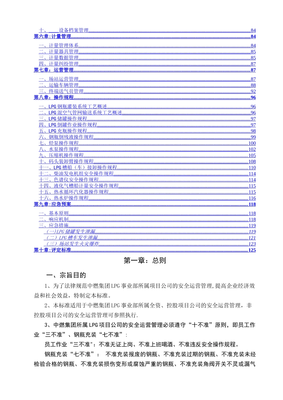 中燃集团LPG安全运营管理标准_第2页