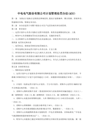 中电电气股份有限公司计划管理处罚办法