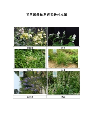中草药识别对照图
