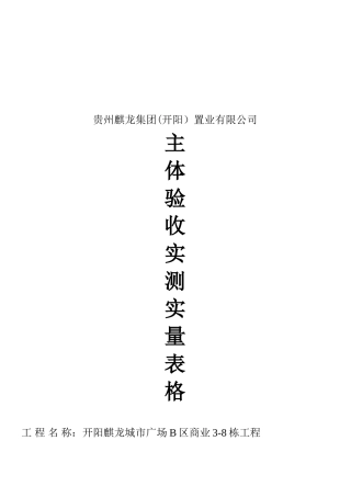 主体验收实测实量表格