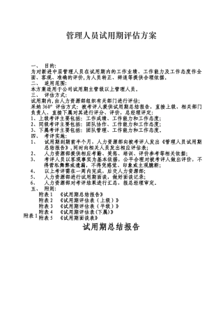主管及以上试用期评估方案