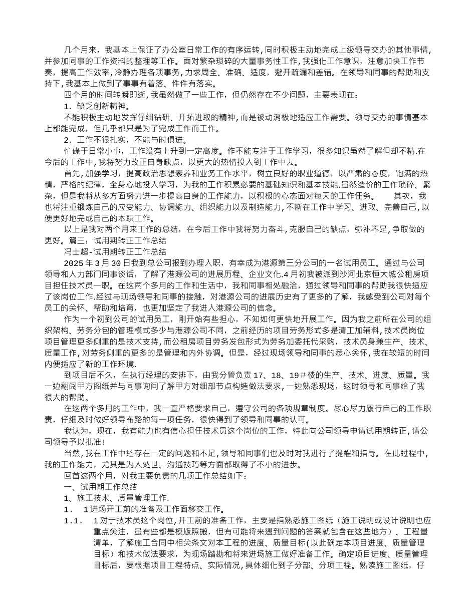 主管试用期转正工作总结_第2页