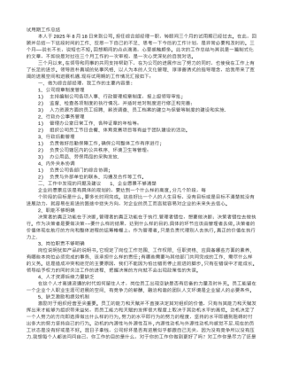 主管转正工作总结