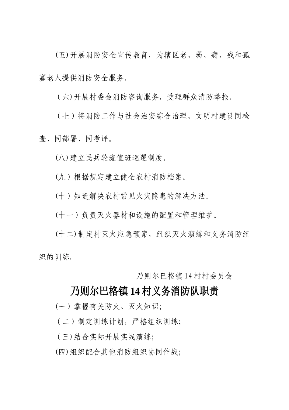 乃则尔巴格镇14村村消防安全工作职责制度_第3页