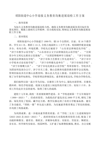 义务教育均衡发展迎检工作方案