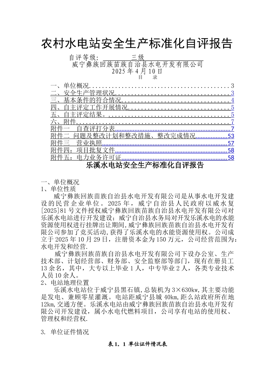 乐溪水电站安全生产标准化自评报告_第1页