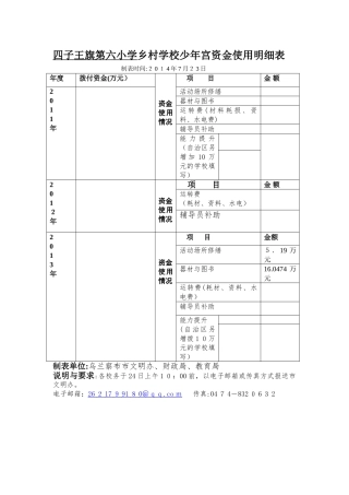 乡村学校少年宫资金使用明细报表