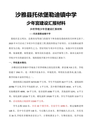 乡村少年宫汇报材料