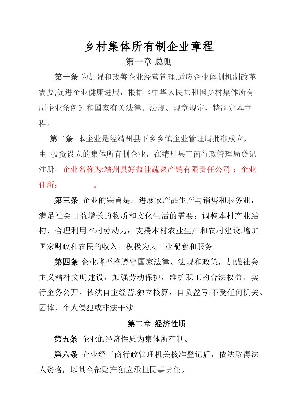 乡村集体所有制企业章程_第1页